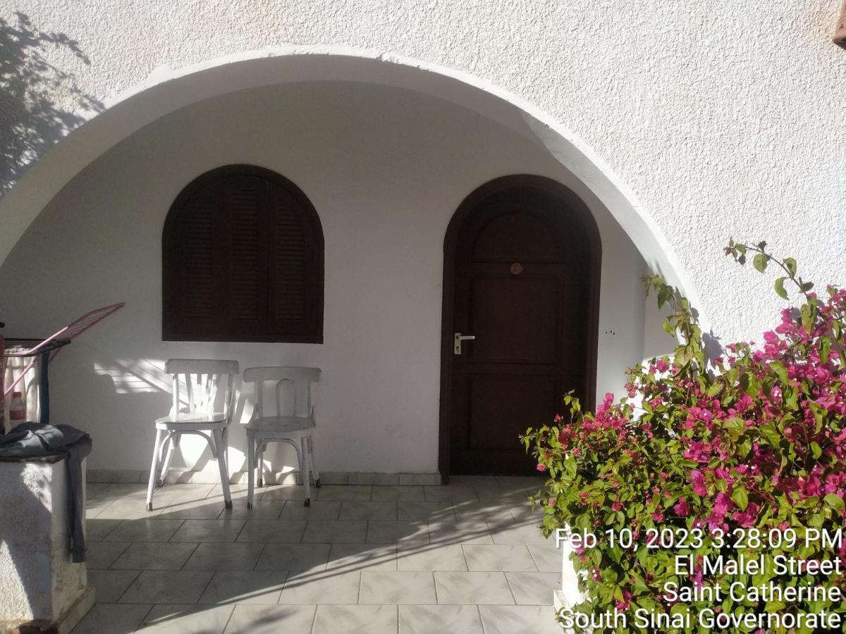 Nook Hostel Dahab Kültér fotó