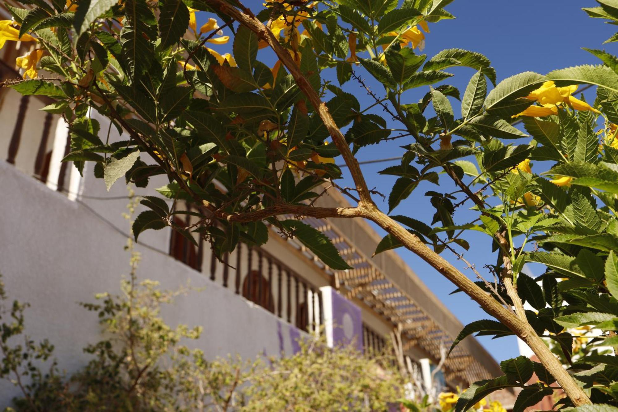 Nook Hostel Dahab Kültér fotó