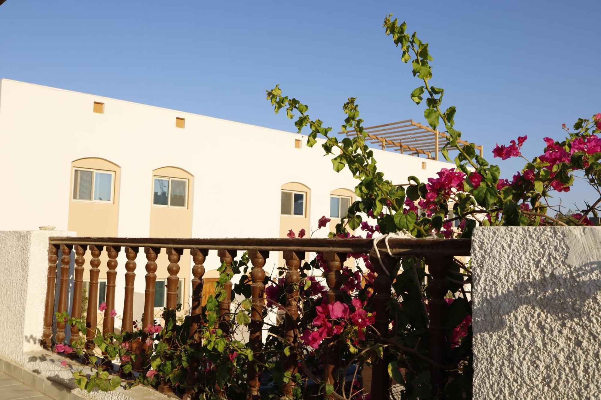 Nook Hostel Dahab Kültér fotó