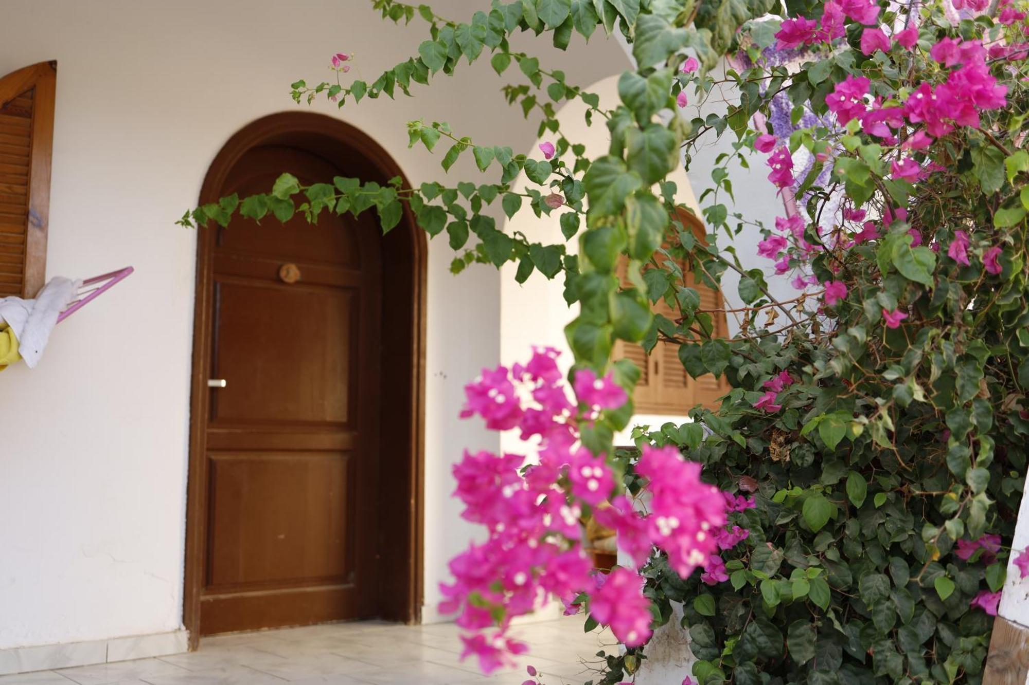Nook Hostel Dahab Kültér fotó