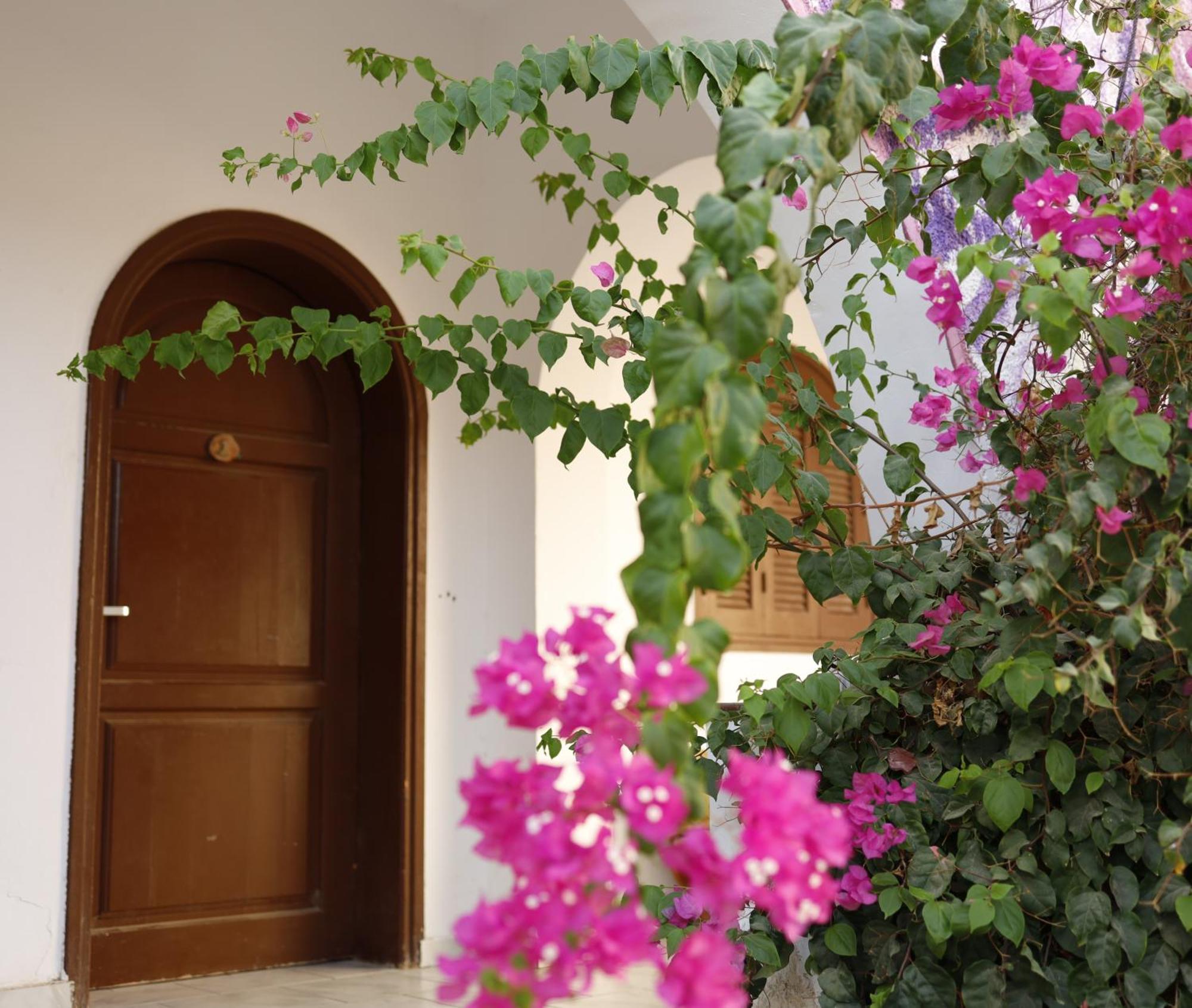 Nook Hostel Dahab Kültér fotó
